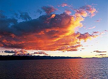 SE新作《卡牌之声 被囚禁的魔物》 在Steam开启预购