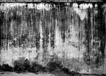 《星露谷物语》开发者预告新农场类型：畜牧专用