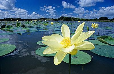 快节奏战斗动作游戏《Genokids》众筹开启