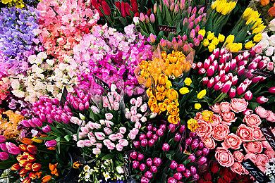  R星发推道歉 《GTA三部曲：终极版》PC版重新上架